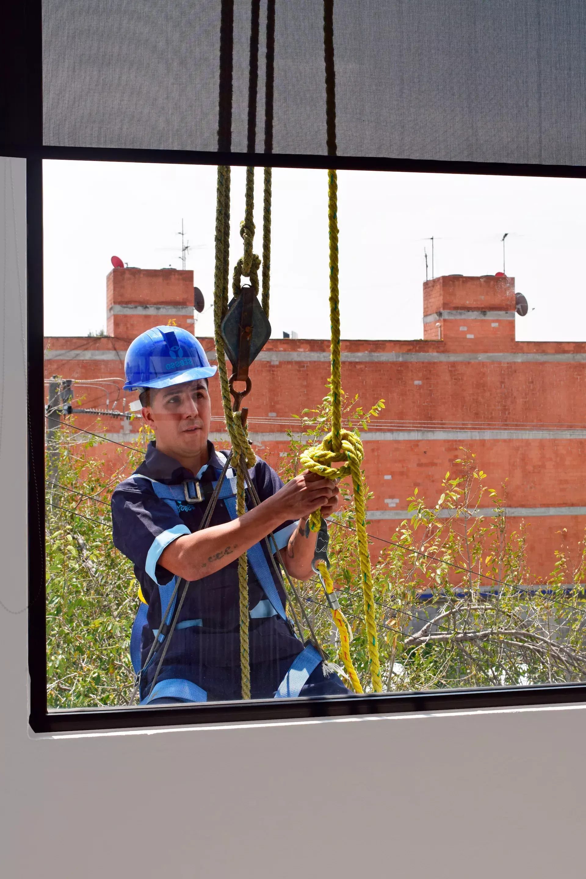 Servicios