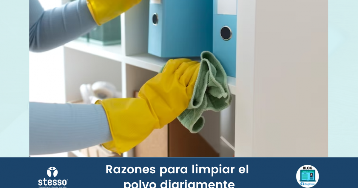 Razones para limpiar el polvo diariamente Stesso®