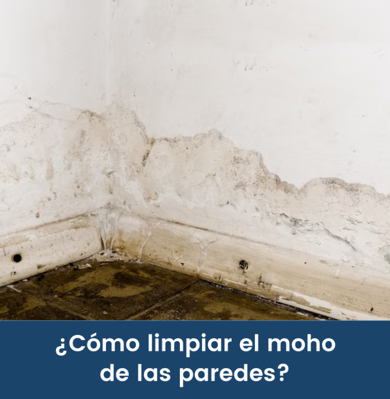 Cómo limpiar el moho de las paredes