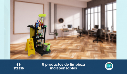 5 productos de limpieza indispensables