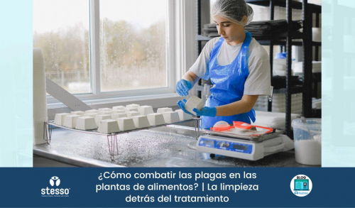 Cómo combatir las plagas en las plantas de alimentos