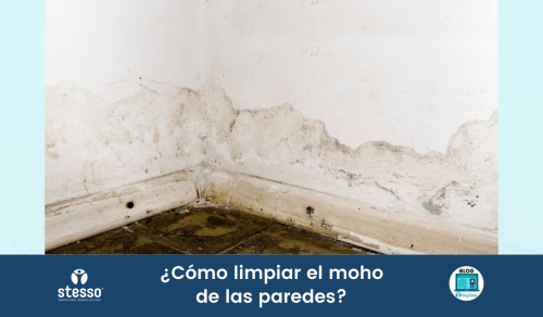Cómo limpiar el moho de las paredes