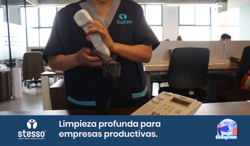 Limpieza profunda
