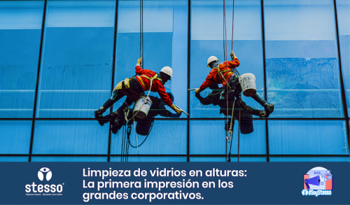 Limpieza vidrios en alturas