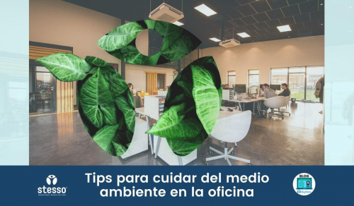 Tips para cuidar del medio ambiente en la oficina