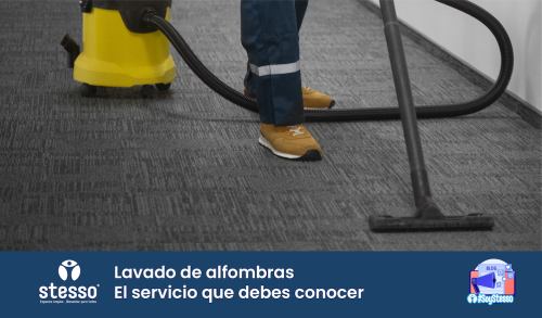 Blog Lavado de alfombras