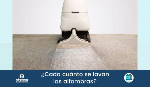 Cada cuánto se lavan las alfombras de oficina